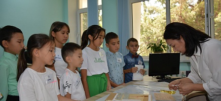 Young Archivist фото галереи 9